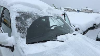 Lada Largus универсал