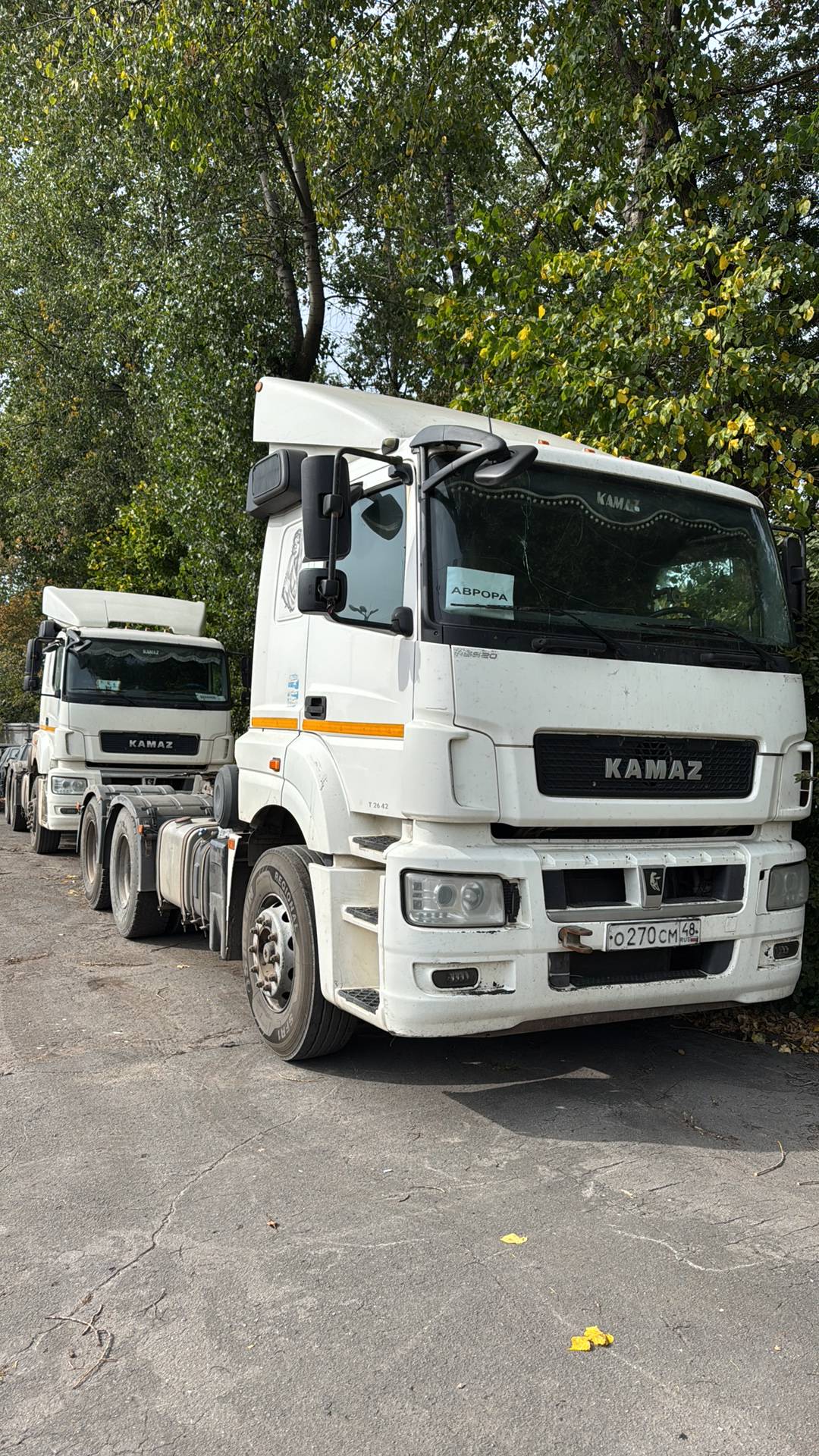 КАМАЗ 65206-T5 (Т2642)