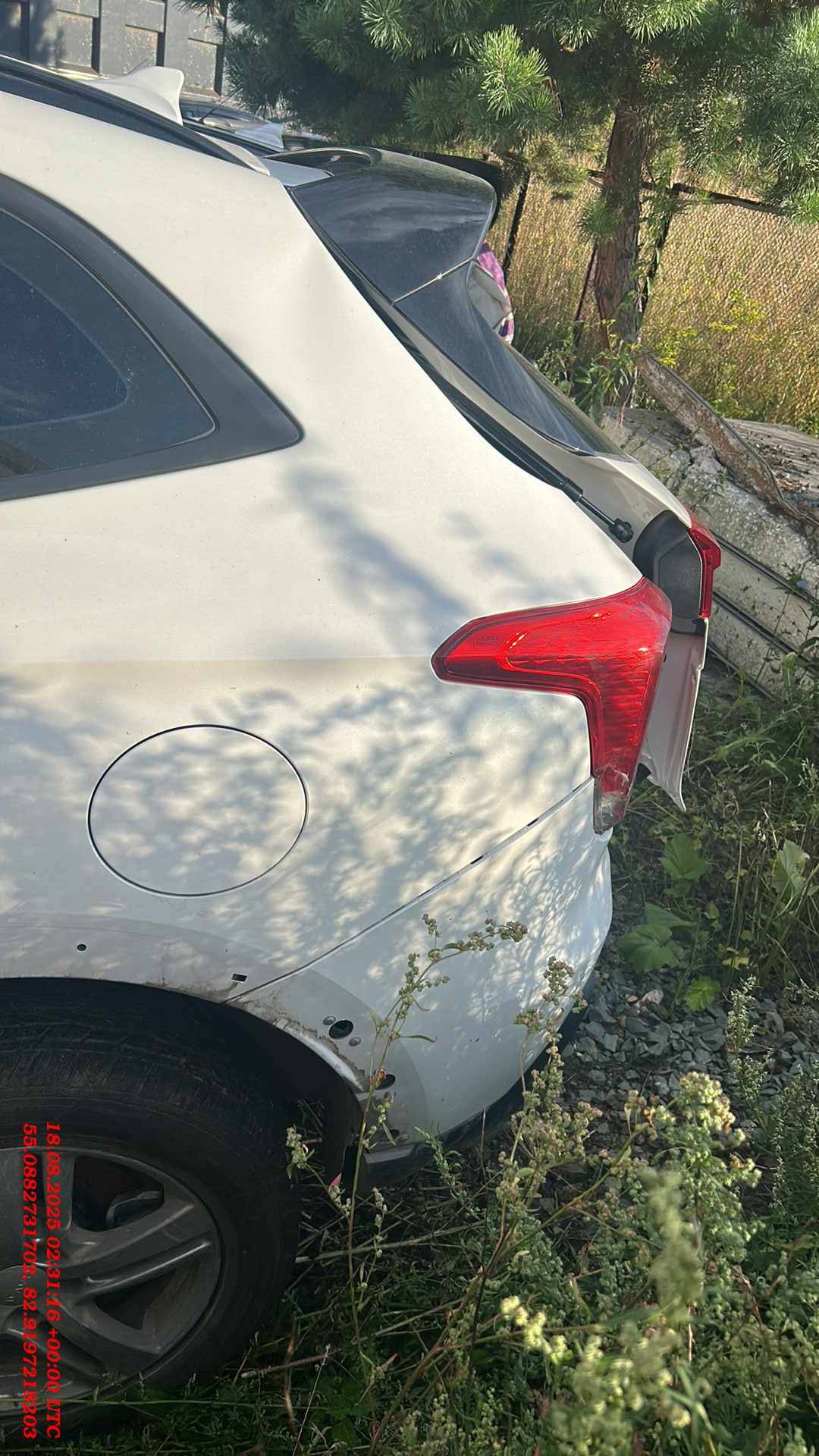 Haval Jolion,  53 858 км, 2024 года