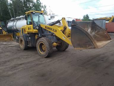 Worker ZL30