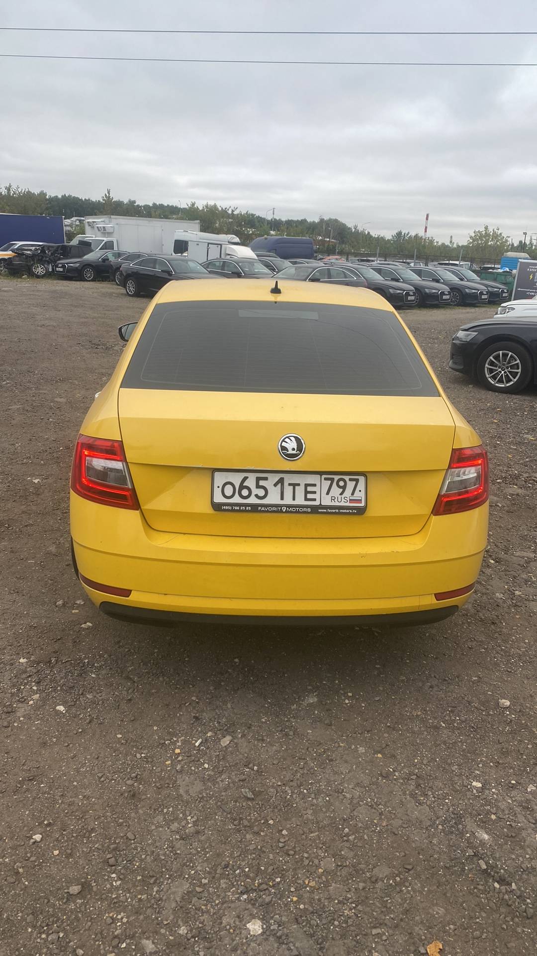 Skoda Octavia,  226 673 км, 2019 года в лизинг
