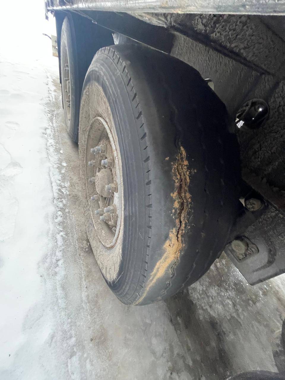 HASTRAILER HASLINER Лот 000006761