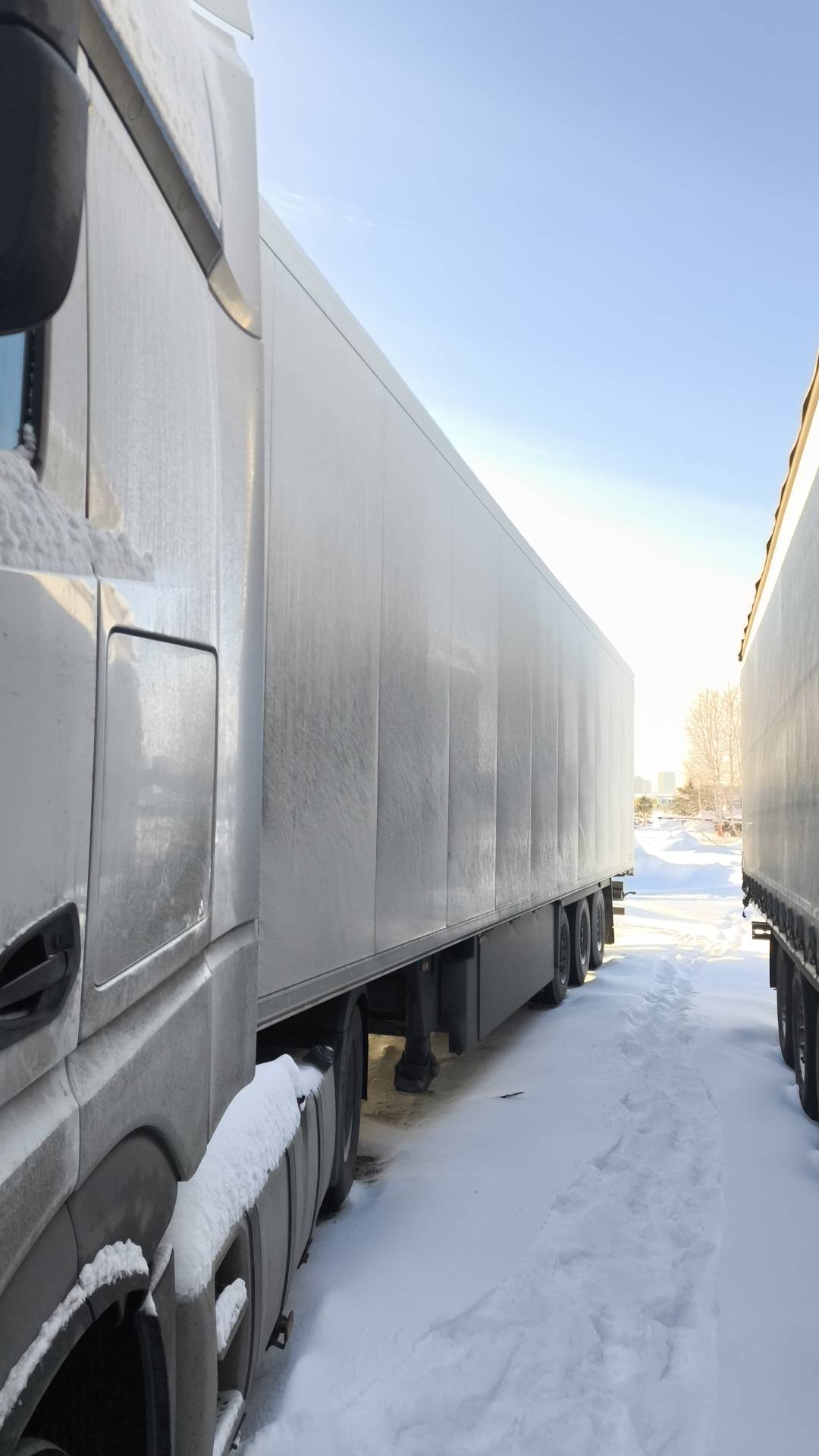 SCHMITZ Рефрижератор SKO24/L, 2023 года в лизинг