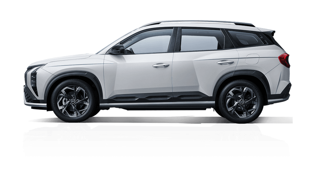 Hyundai Mufasa 2.0 DLX 