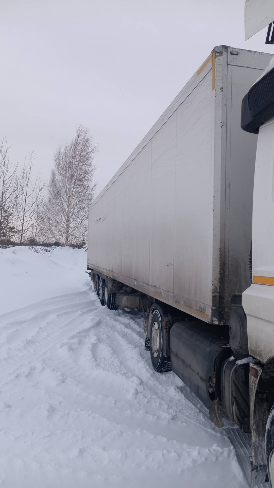 Тонар Изотермический 9746, 2019 года в лизинг