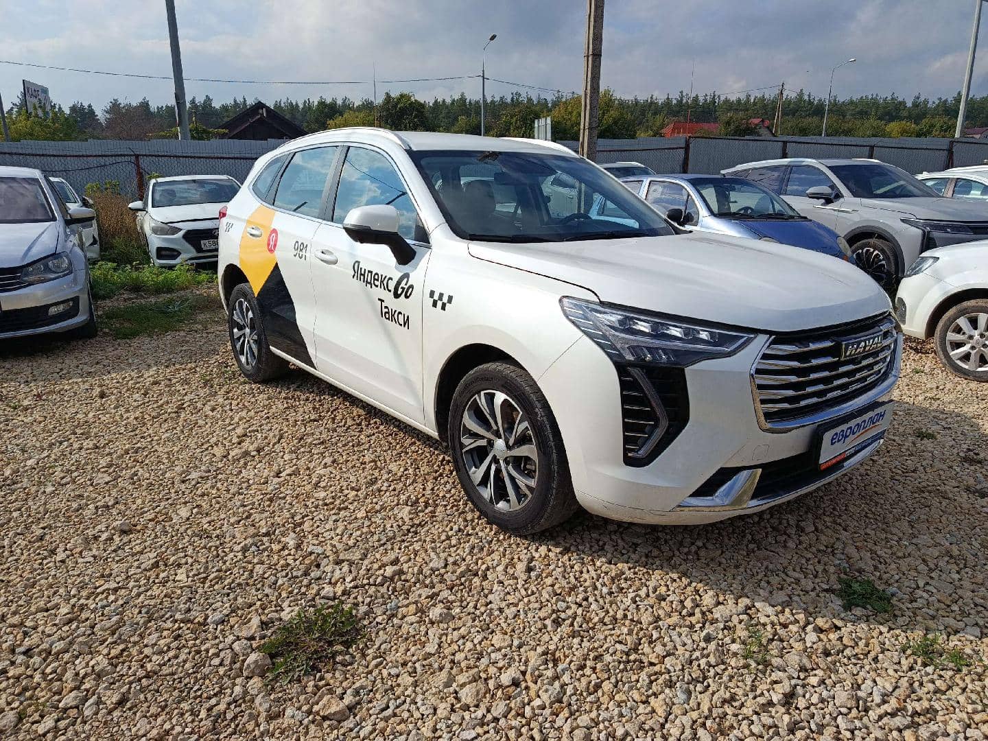 Haval Jolion