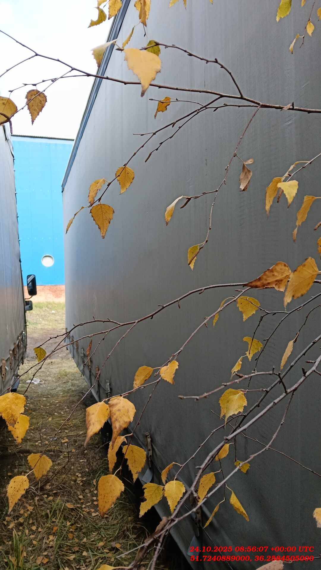 СпецМаш 8491T1, 2020 года