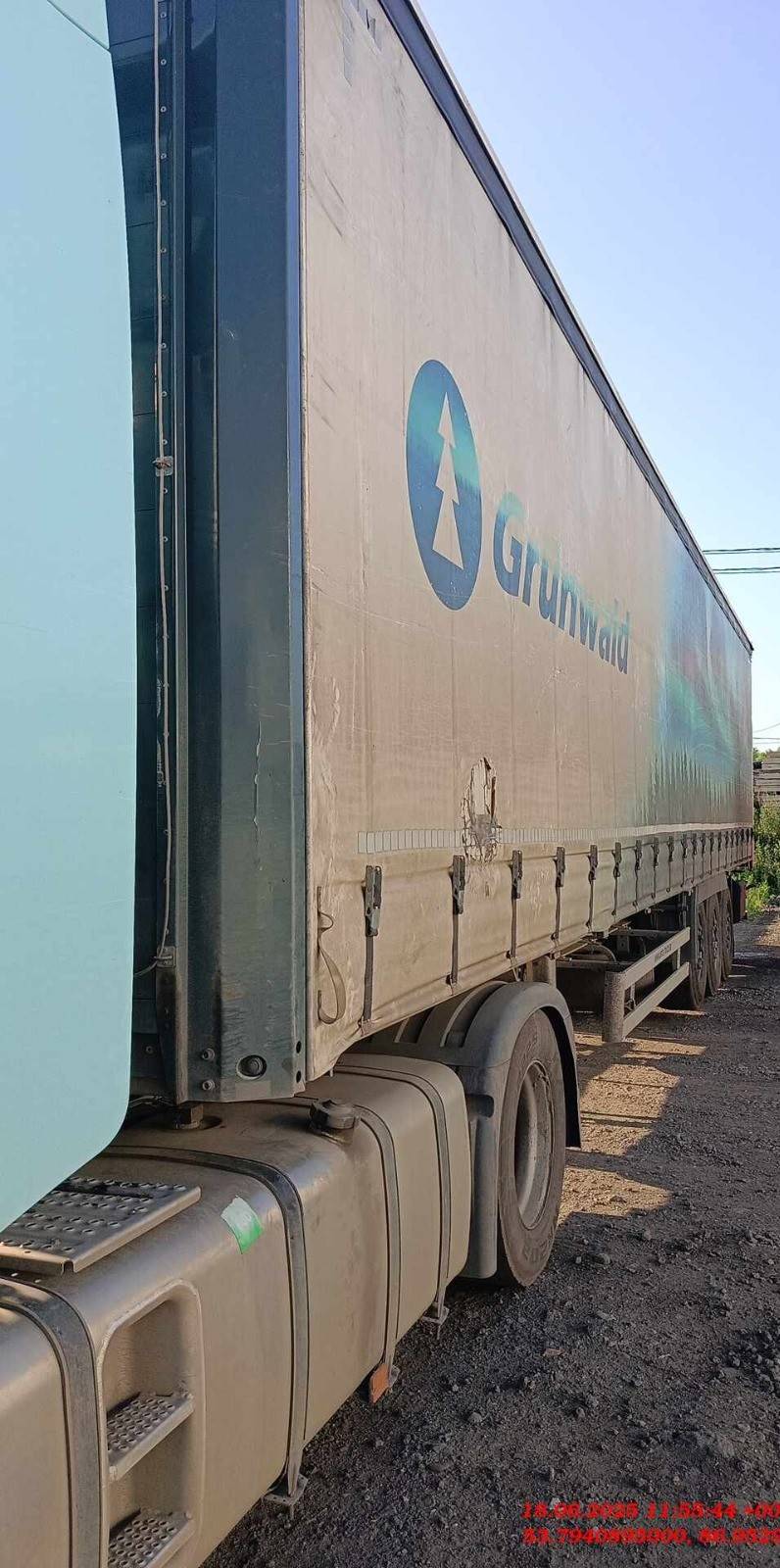 Grunwald Шторный, 2023 года