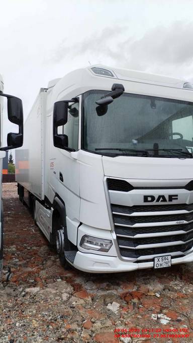 DAF XG 480 FT 4x2