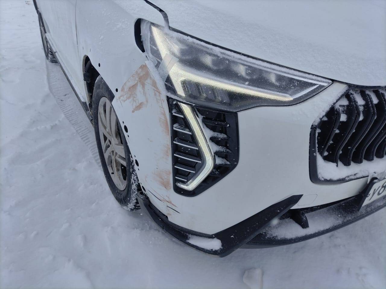 Haval Jolion,  50 561 км, 2024 года в лизинг
