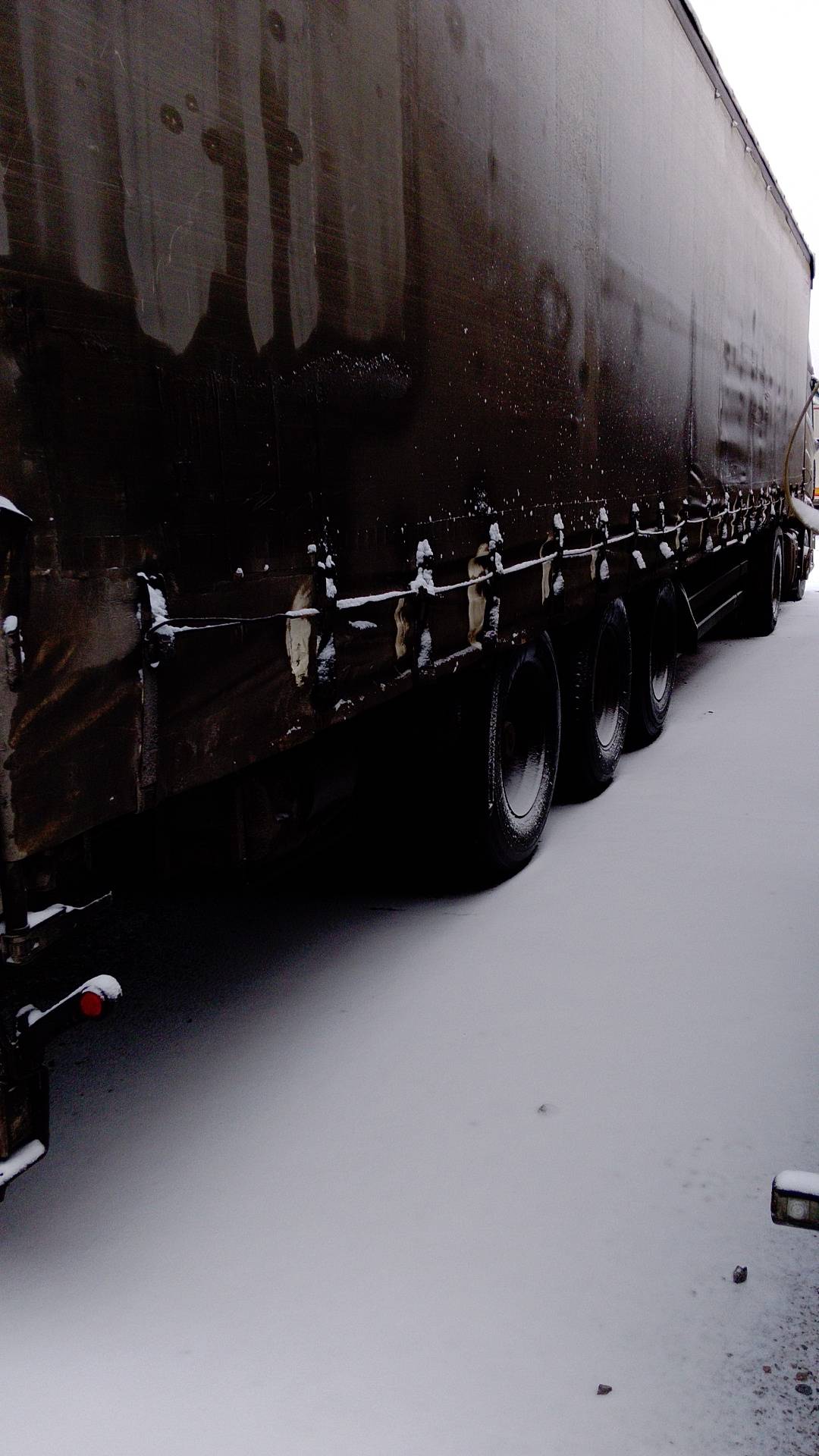 KOLUMAN S шторный, 2018 года