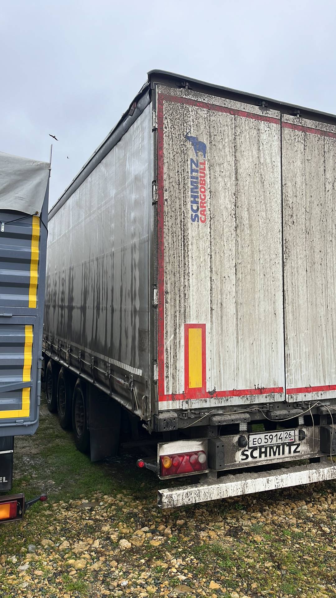 SCHMITZ Шторный 9084, 2021 года