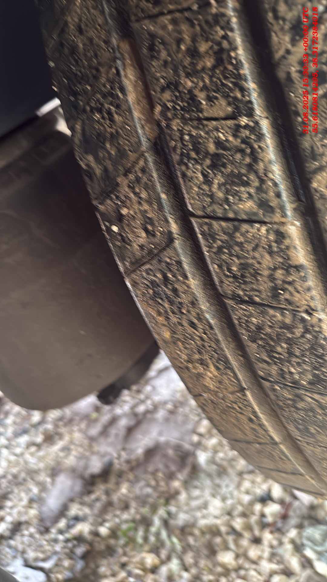 Wielton NS 3 K, 2023 года в лизинг