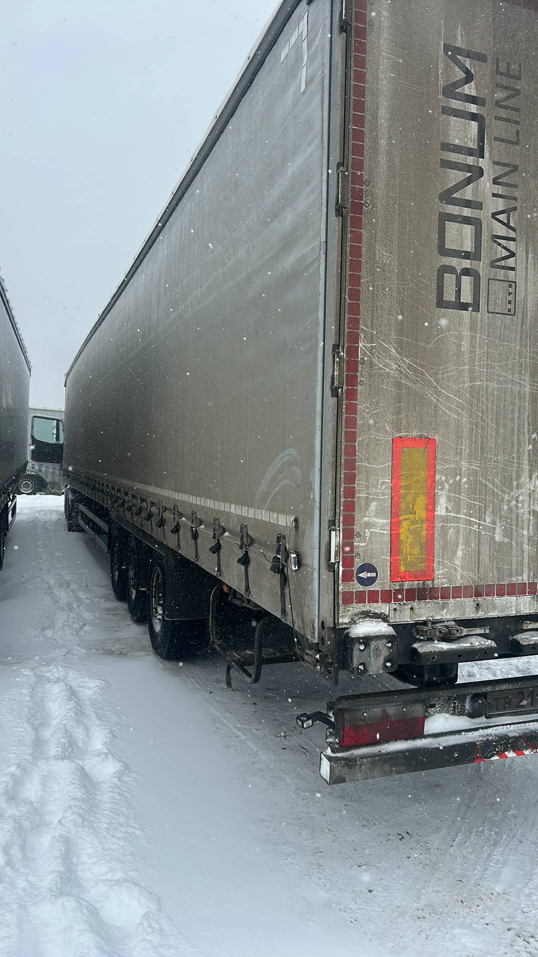 BONUM 914296-04, 2023 года