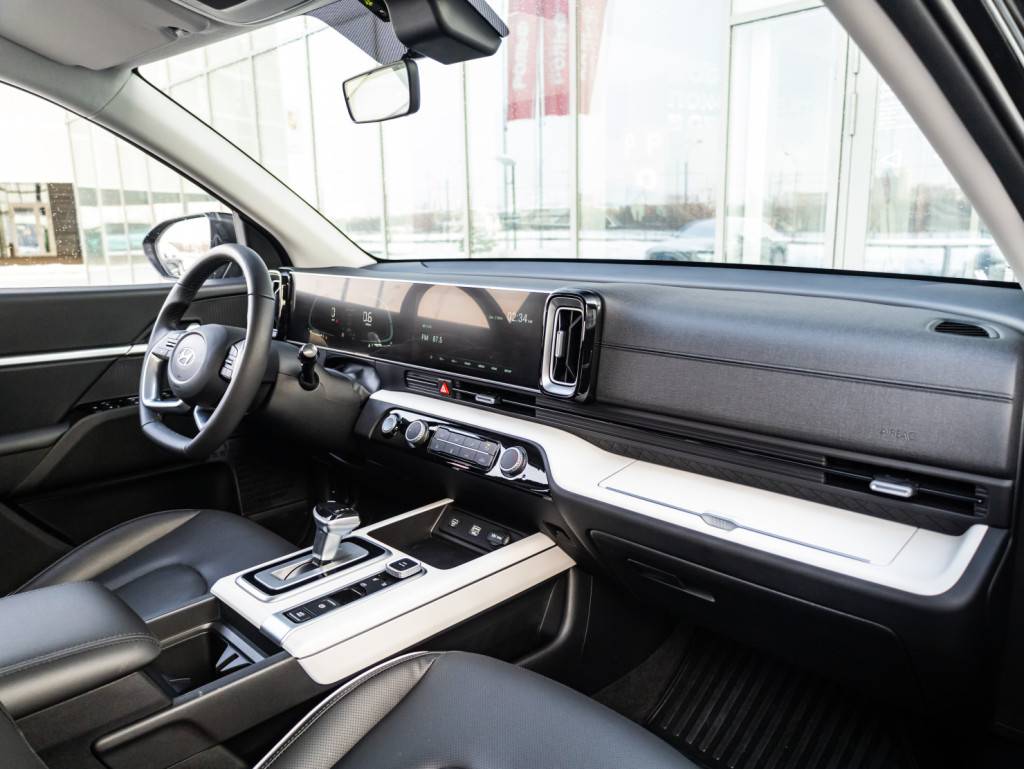 Hyundai Mufasa 2.0 DLX 