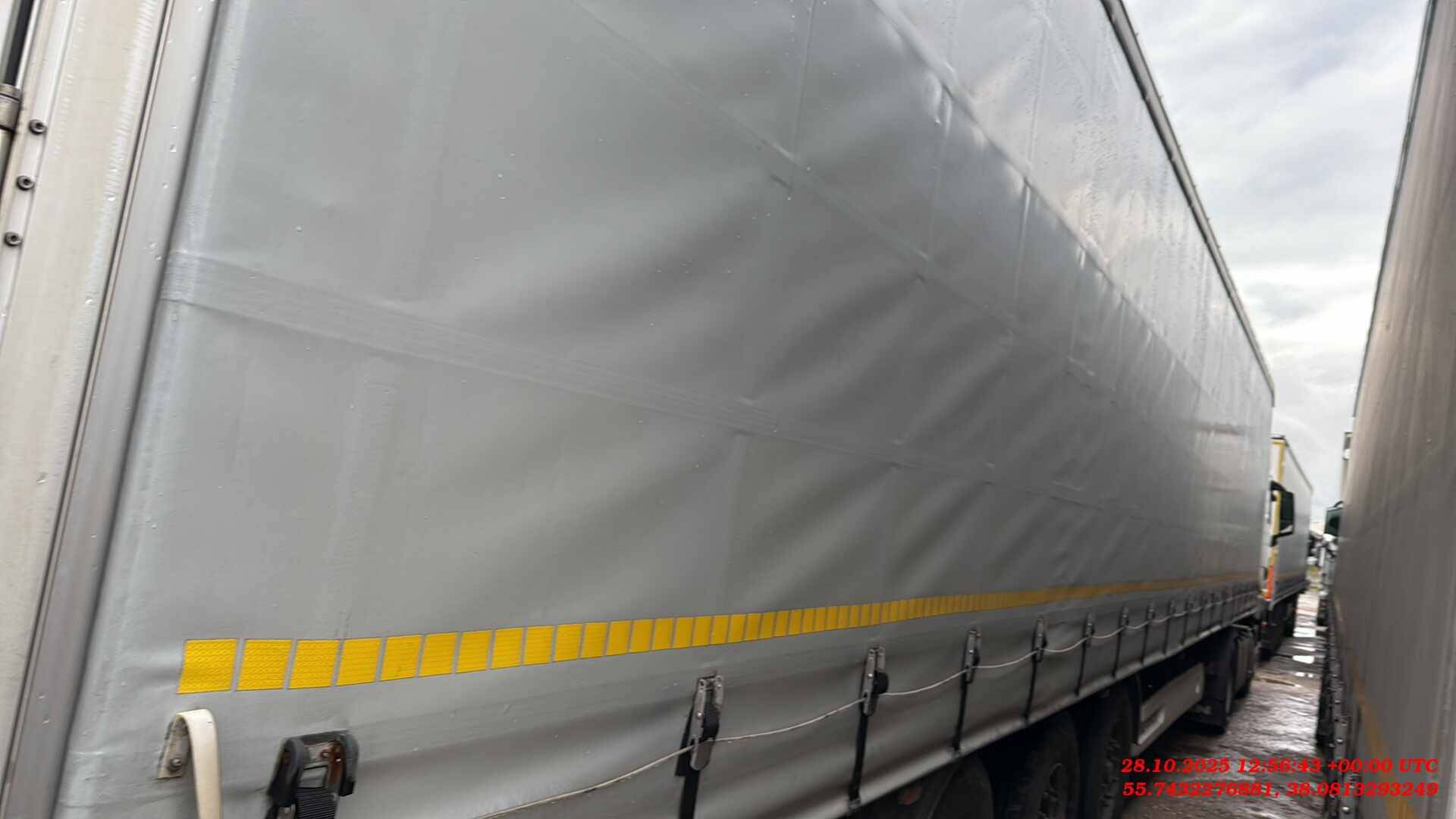 Wielton NS 3 K, 2023 года