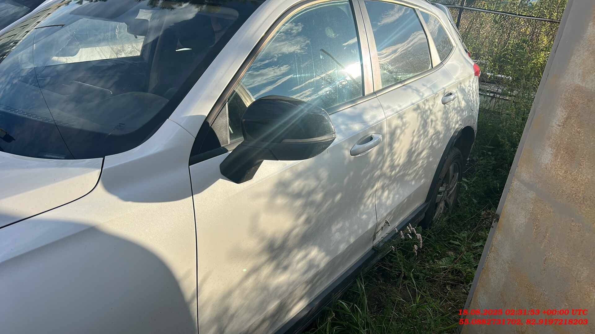 Haval Jolion,  53 858 км, 2024 года