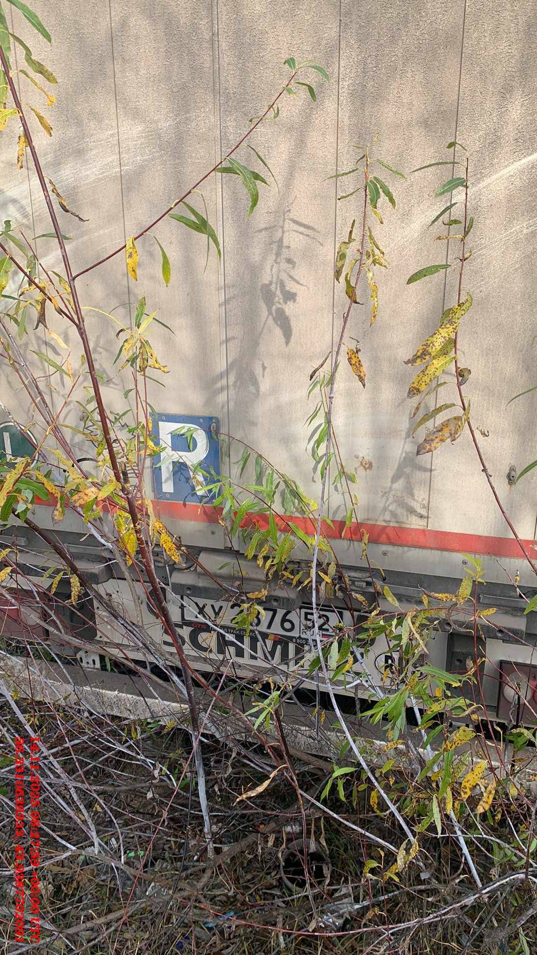 SCHMITZ Шторный SCS 24/L, 2020 года в лизинг