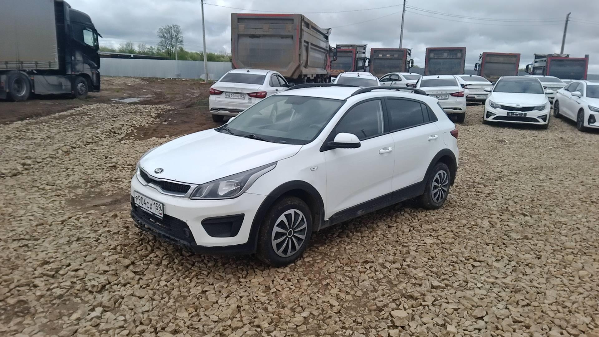 KIA Rio