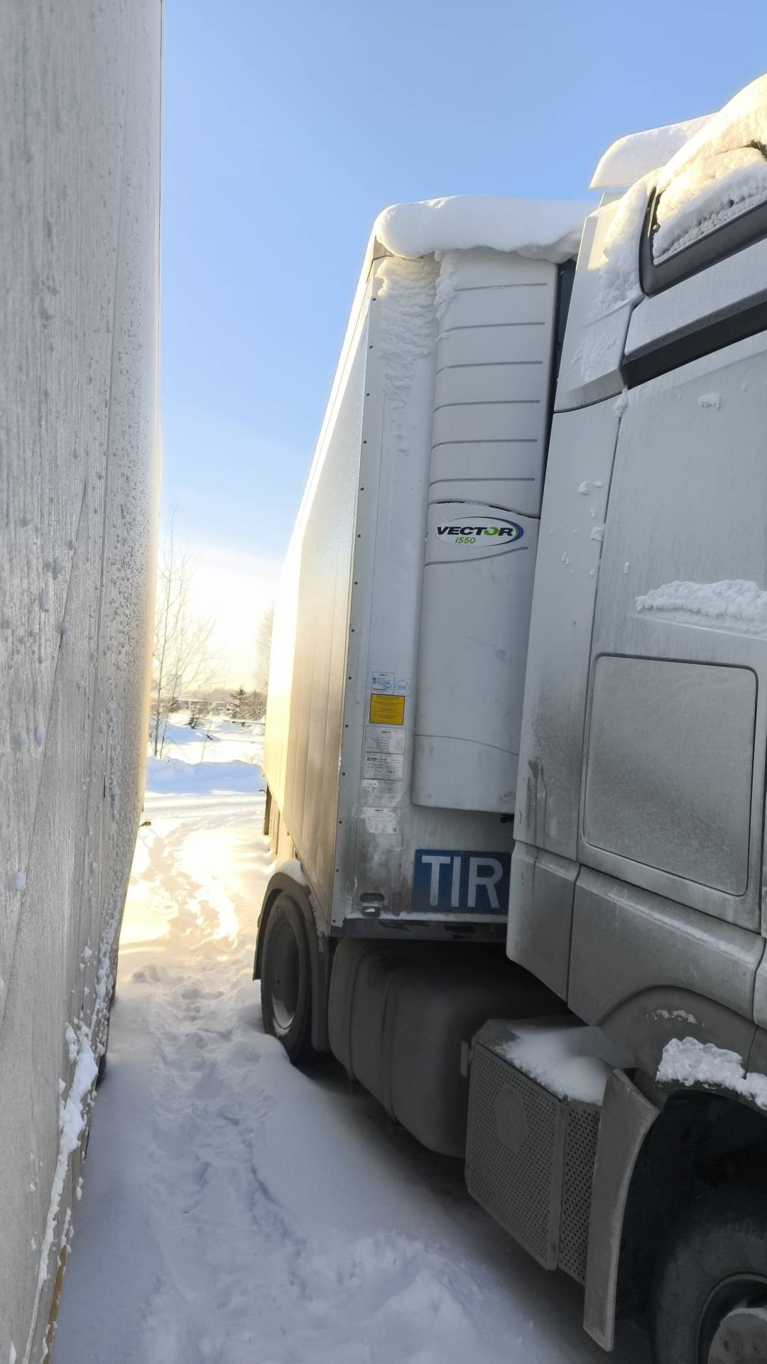 SCHMITZ Рефрижератор SKO24/L, 2023 года в лизинг