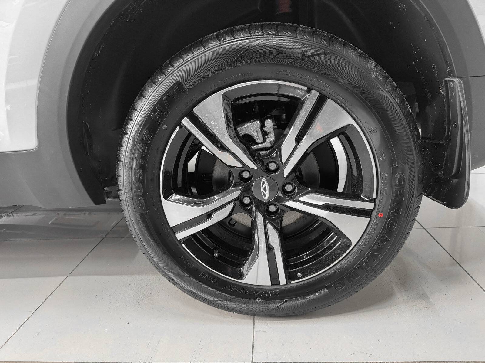 Chery Tiggo 4 PRO Action