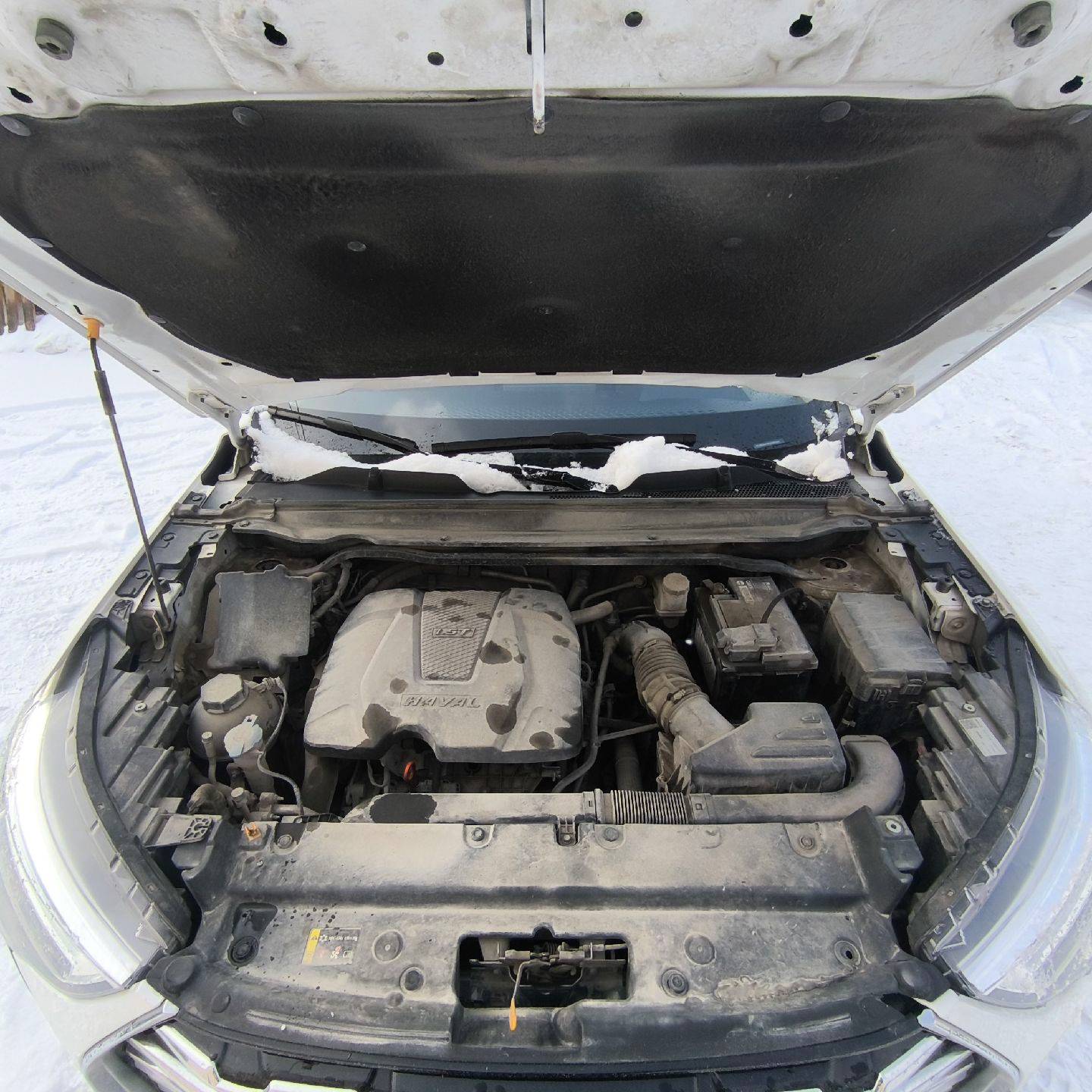 Haval Jolion,  76 962 км, 2023 года в лизинг