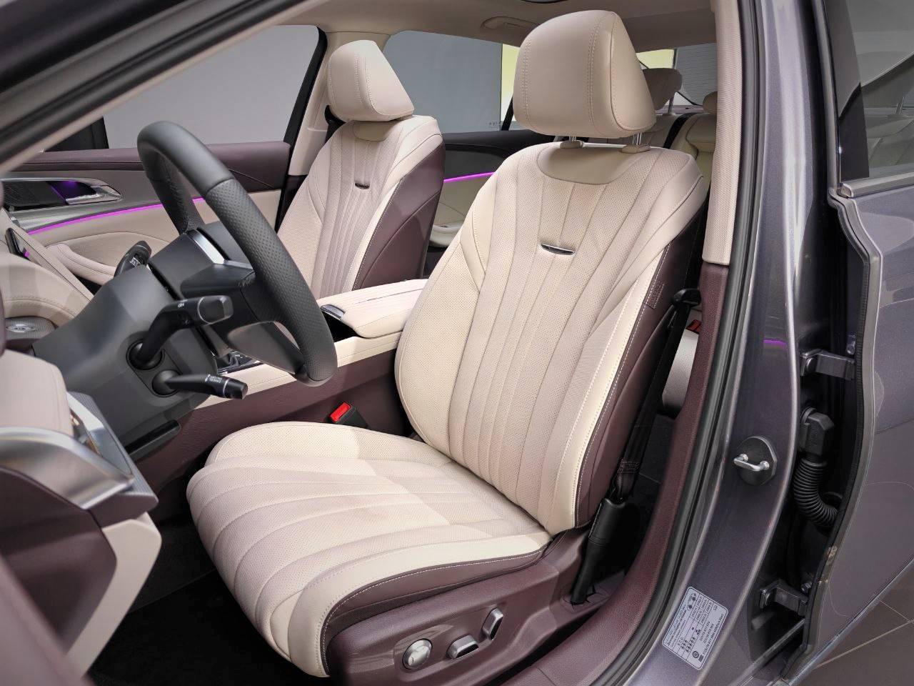 Hongqi H5 Deluxe 2.0T