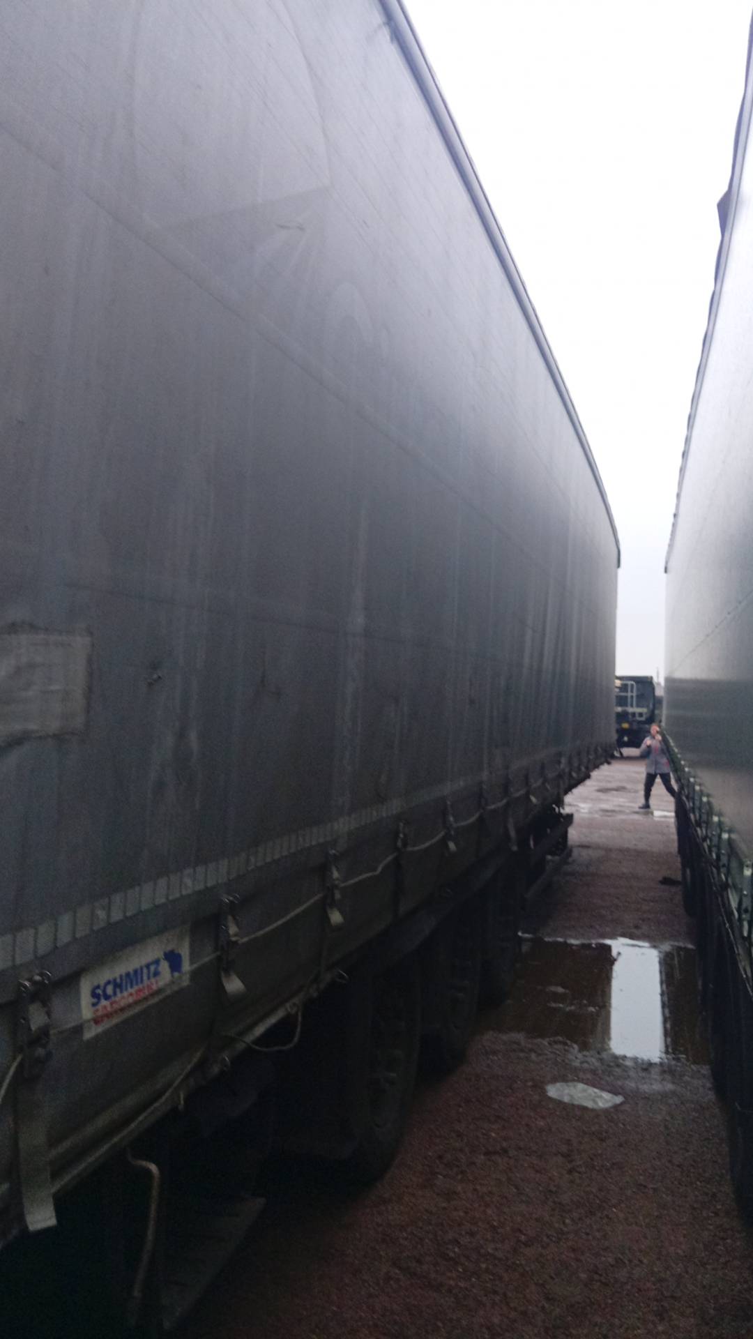 SCHMITZ Шторный SCB 24/L*S3T, 2016 года в лизинг