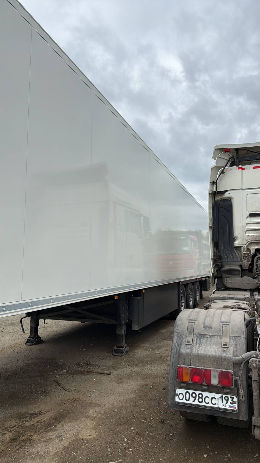 SCHMITZ Рефрижератор SKO24/L, 2023 года в лизинг