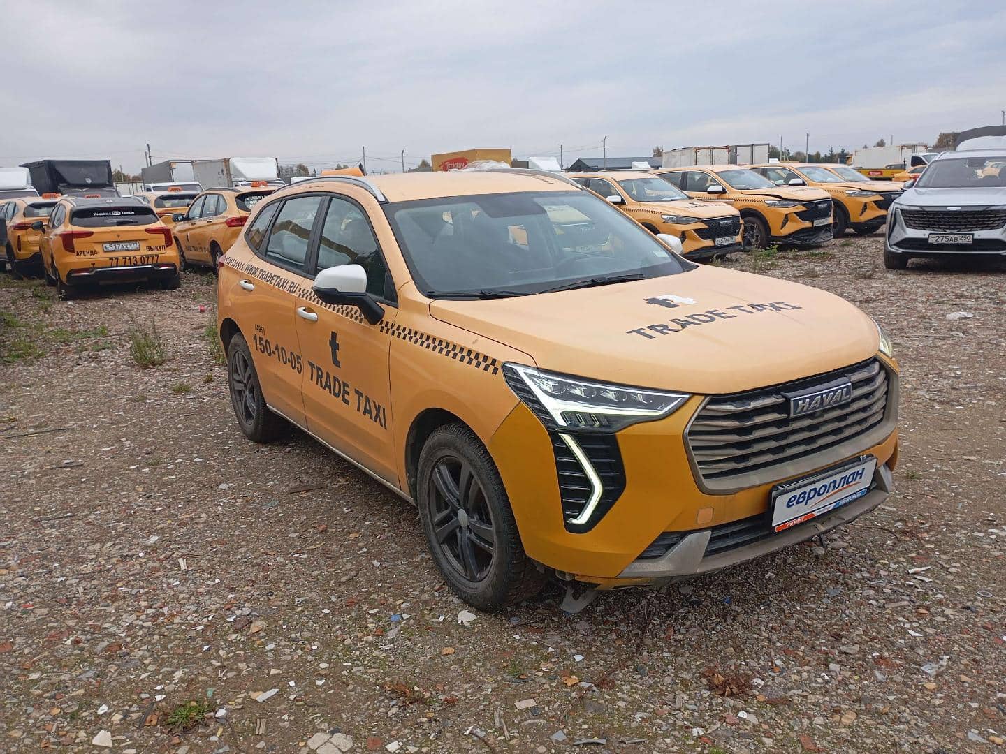 Haval Jolion