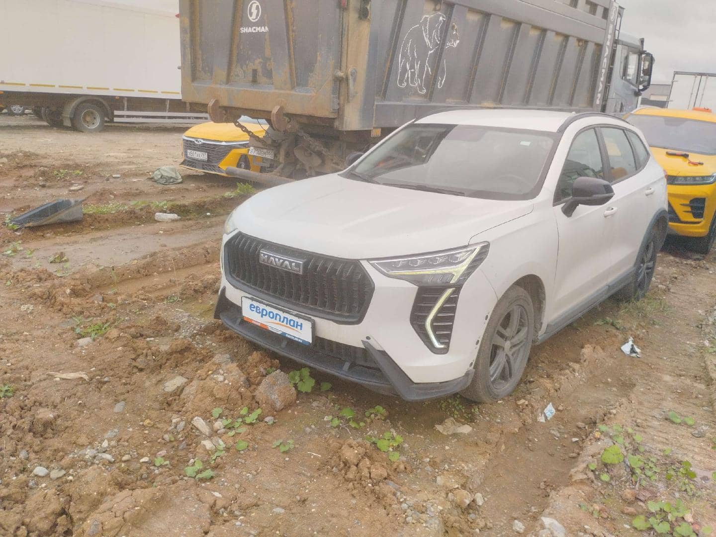 Haval Jolion
