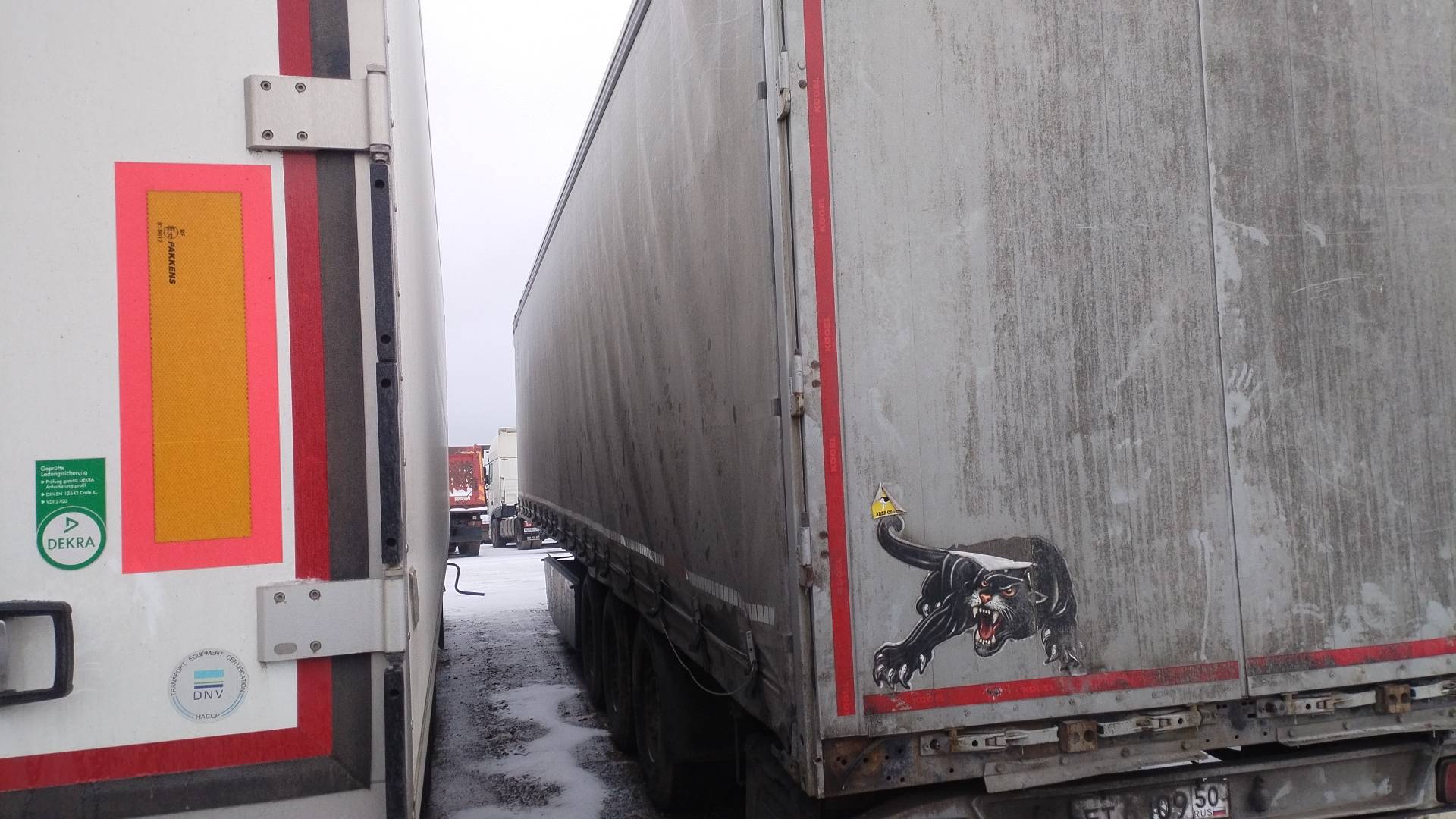 KOGEL Шторный S24-1 (SNCО 24), 2018 года в лизинг