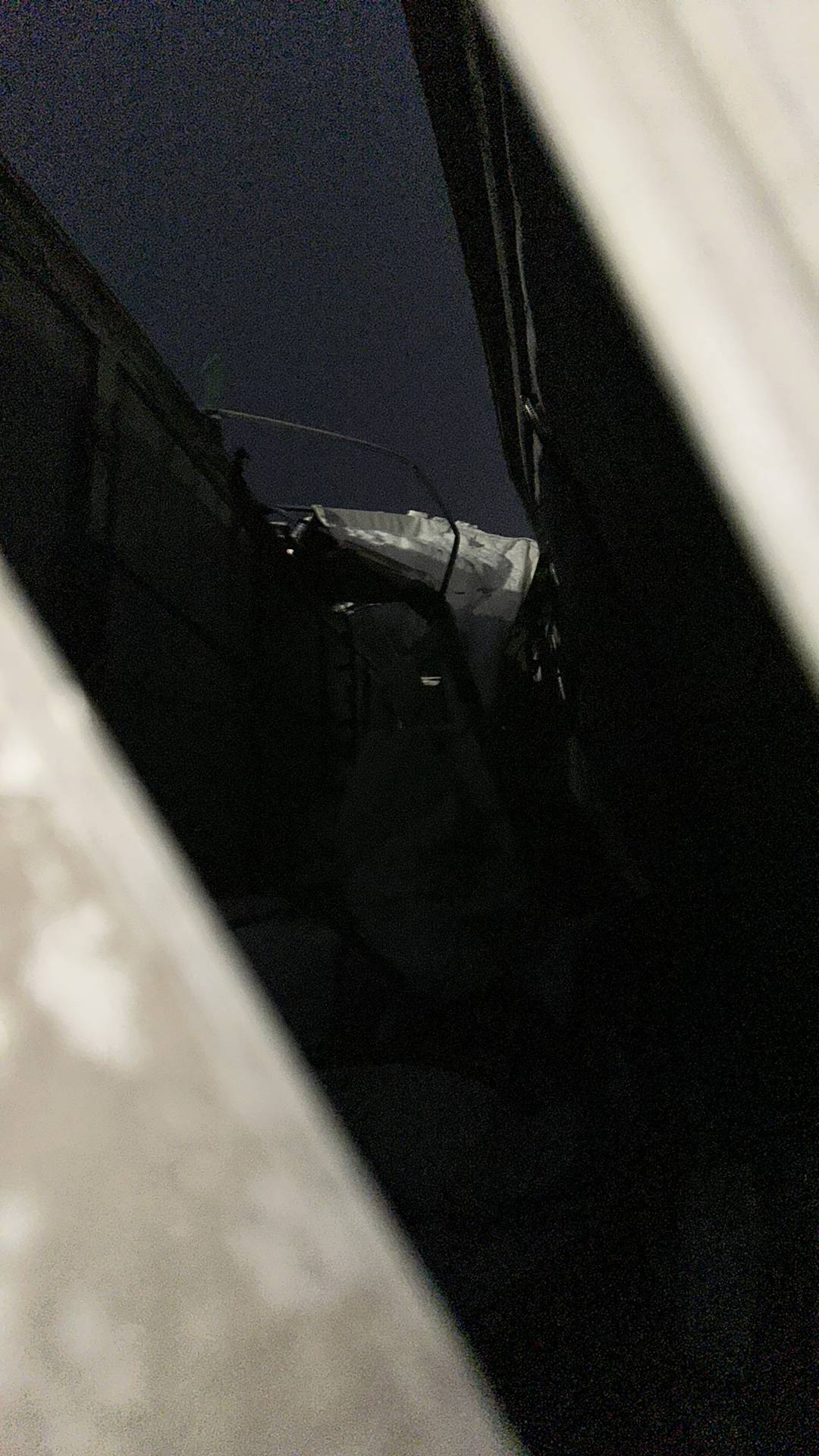 HASTRAILER HASLINER, 2024 года