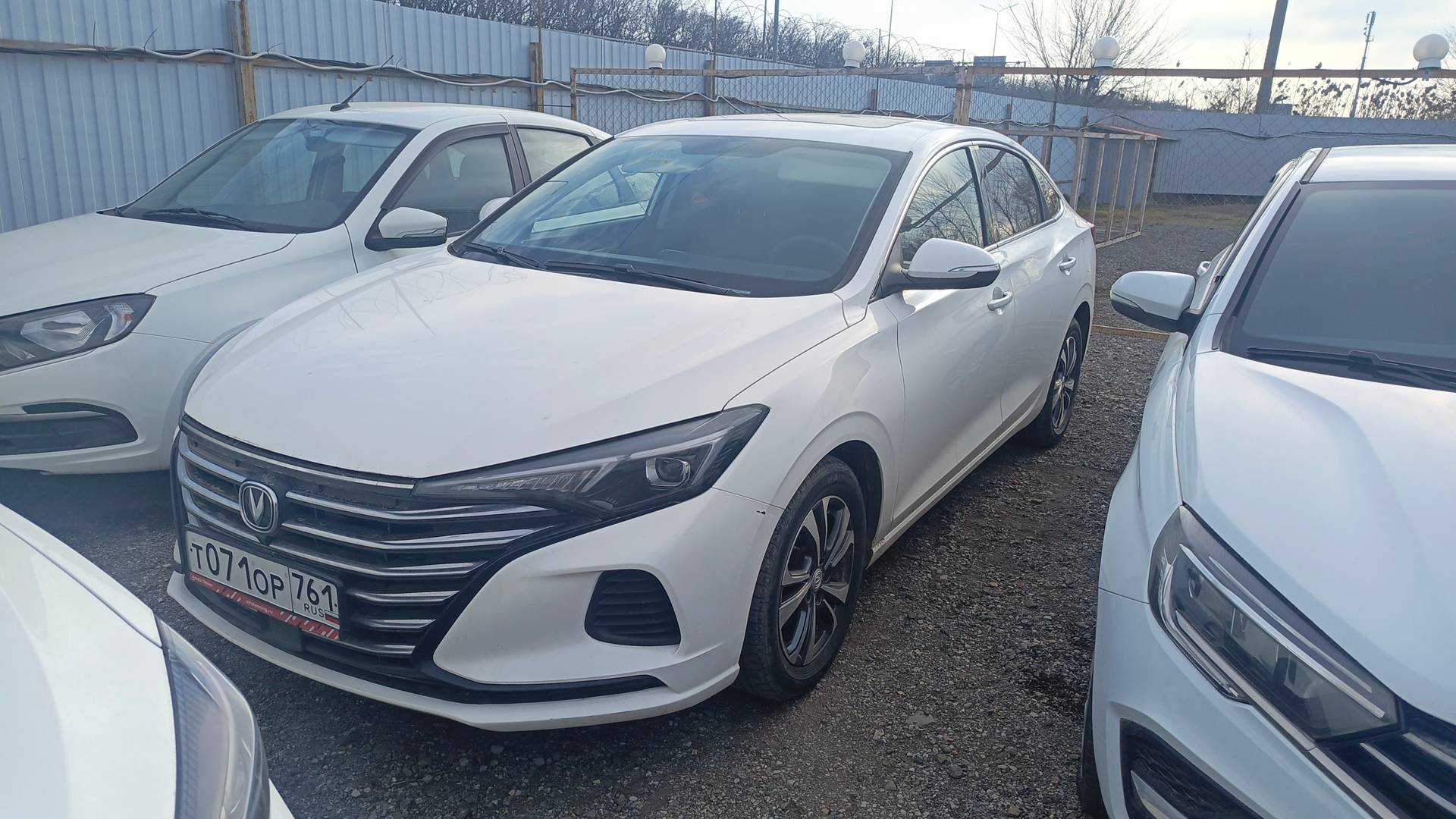 Changan Eado Plus,  66 953 км, 2023 года в лизинг