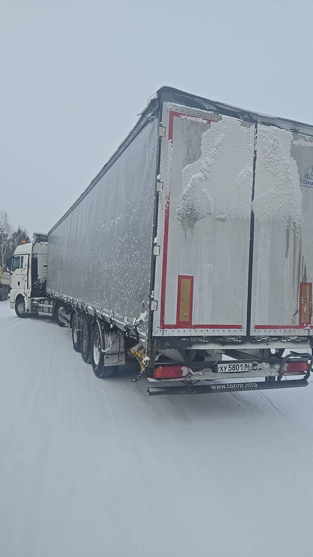 Тонар 9888 Шторно-бортовой, 2023 года