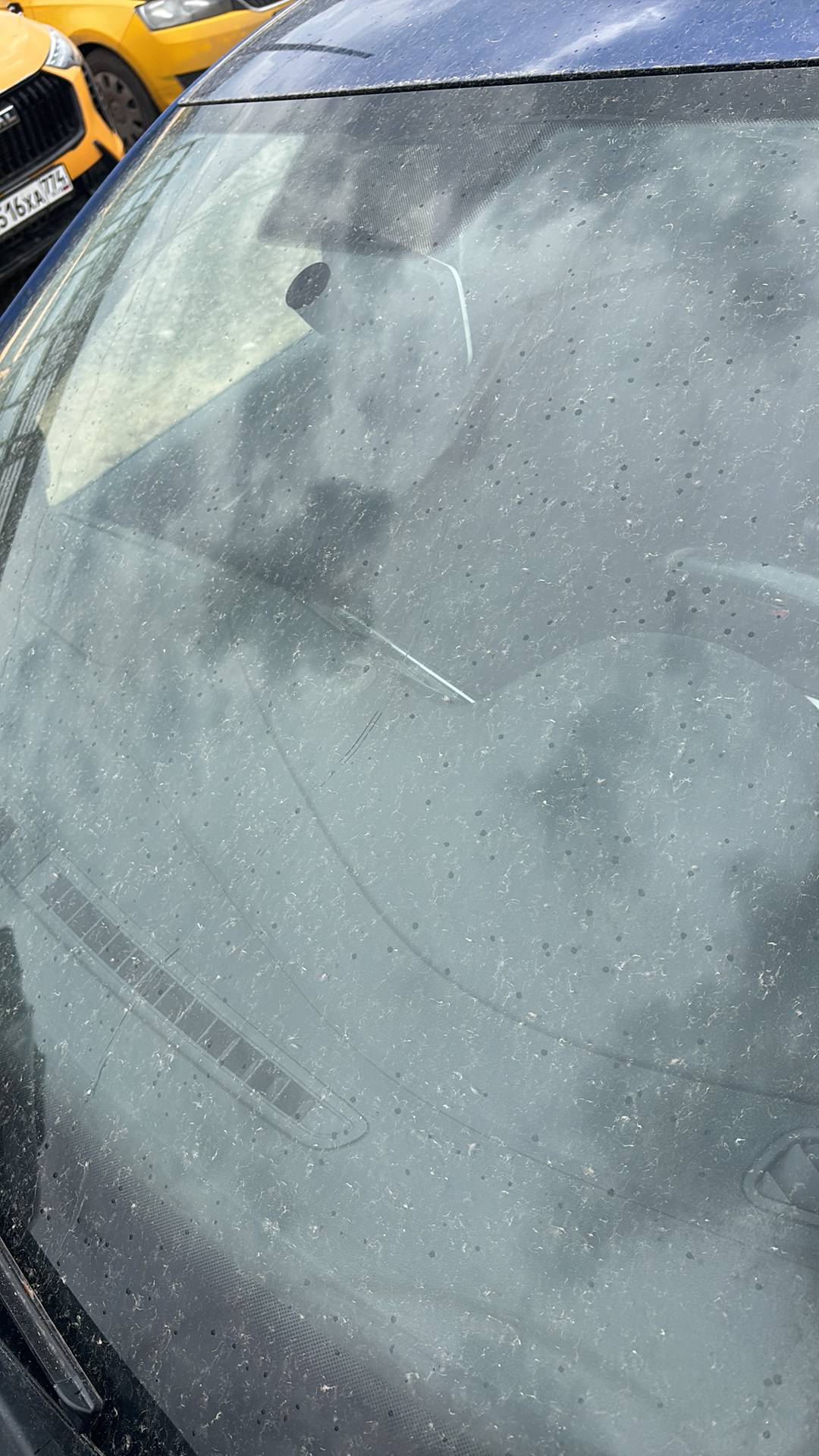 Volkswagen Polo,  284 617 км, 2019 года