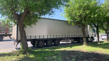 Grunwald Шторный (9453-0000010-10)