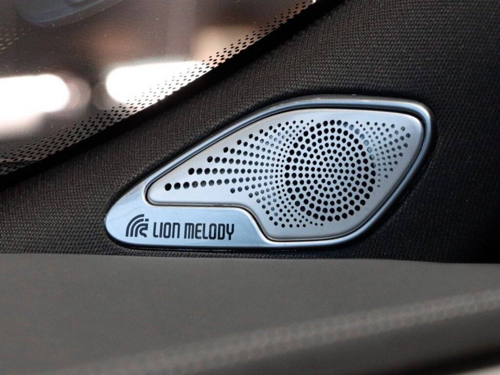 EXEED VX President 7 мест 2.0T 8AT 4WD