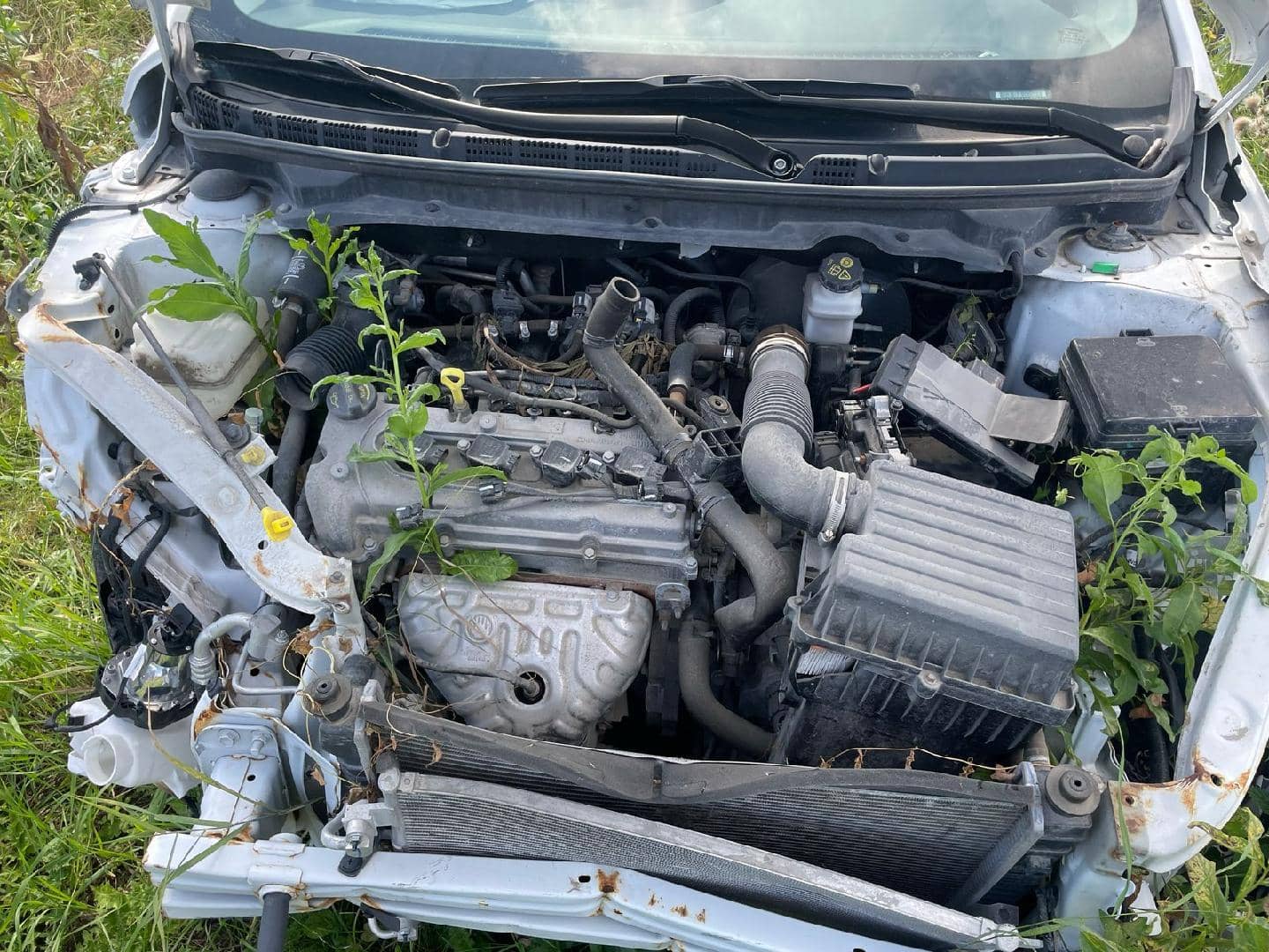 Changan Alsvin,  27 880 км, 2023 года