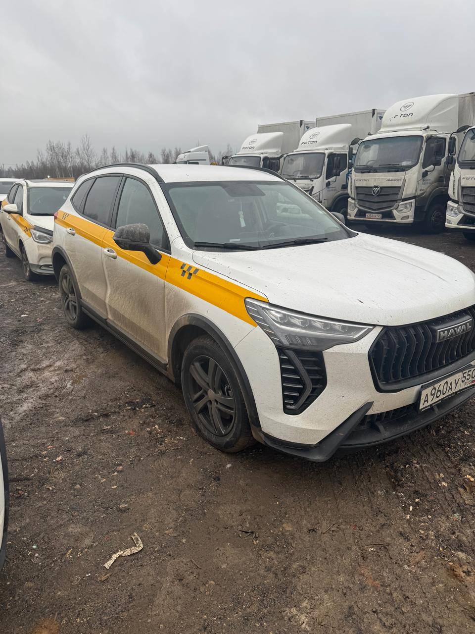 Haval Jolion,  51 240 км, 2024 года в лизинг