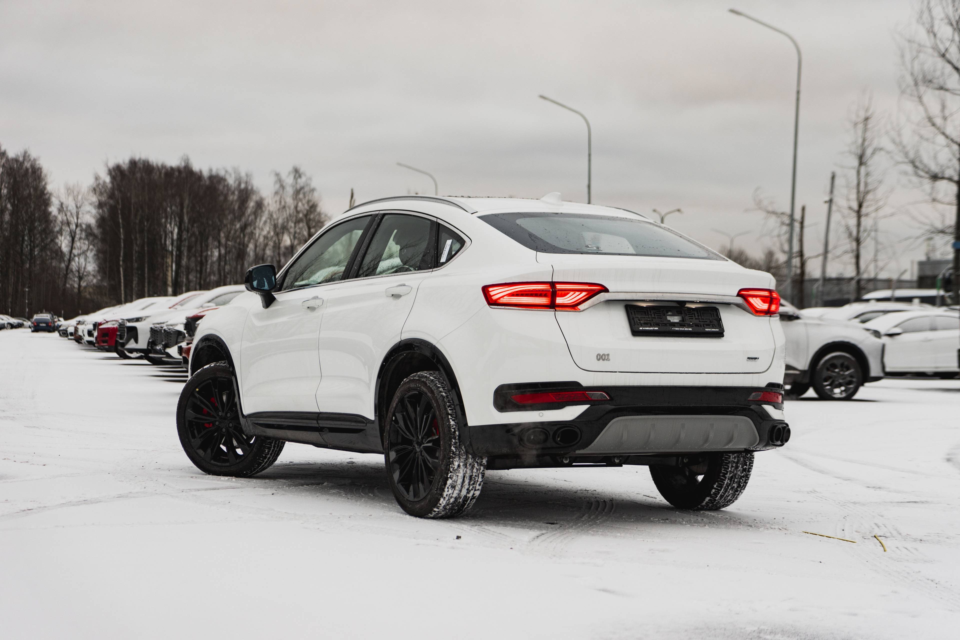 Knewstar 001 Flagship Sport 2.0T 4WD 8AT