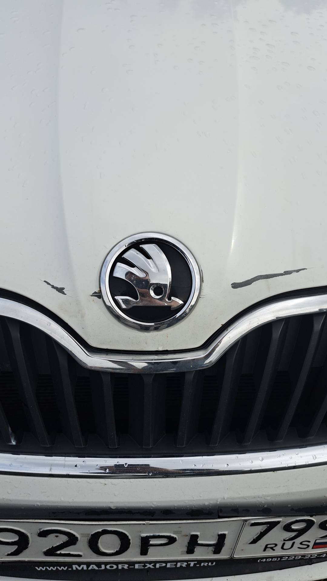 Skoda Rapid,  261 840 км, 2019 года в лизинг