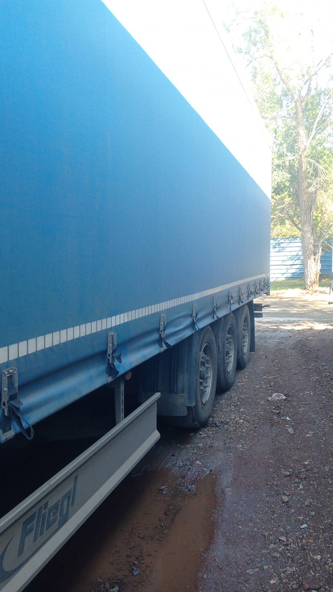 Fliegl SDS 350, 2024 года в лизинг