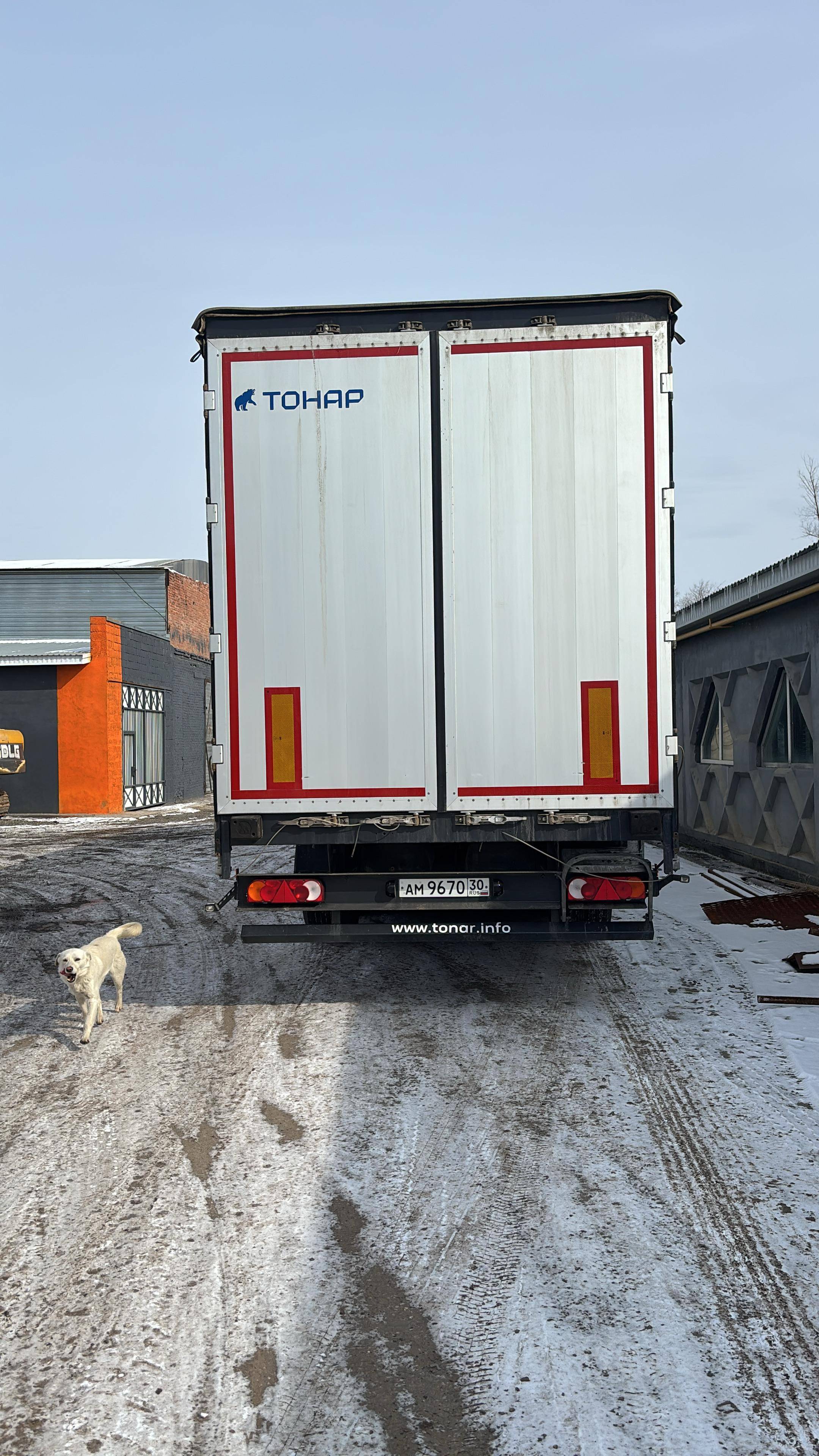 Тонар 9888 Шторно-бортовой
