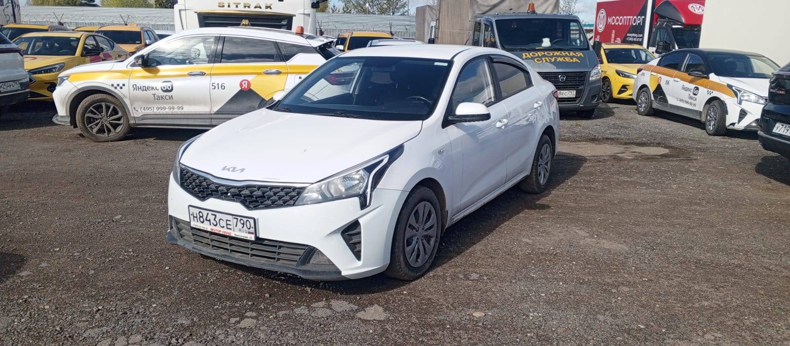 KIA Rio