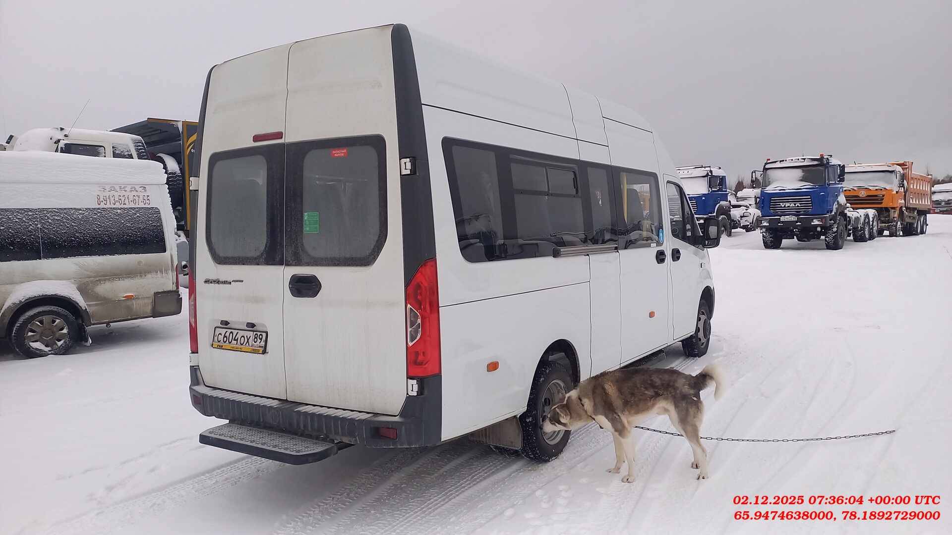 ГАЗ ГАЗель NEXT A65R33-60 16+1,  19 370 км, 2024 года в лизинг