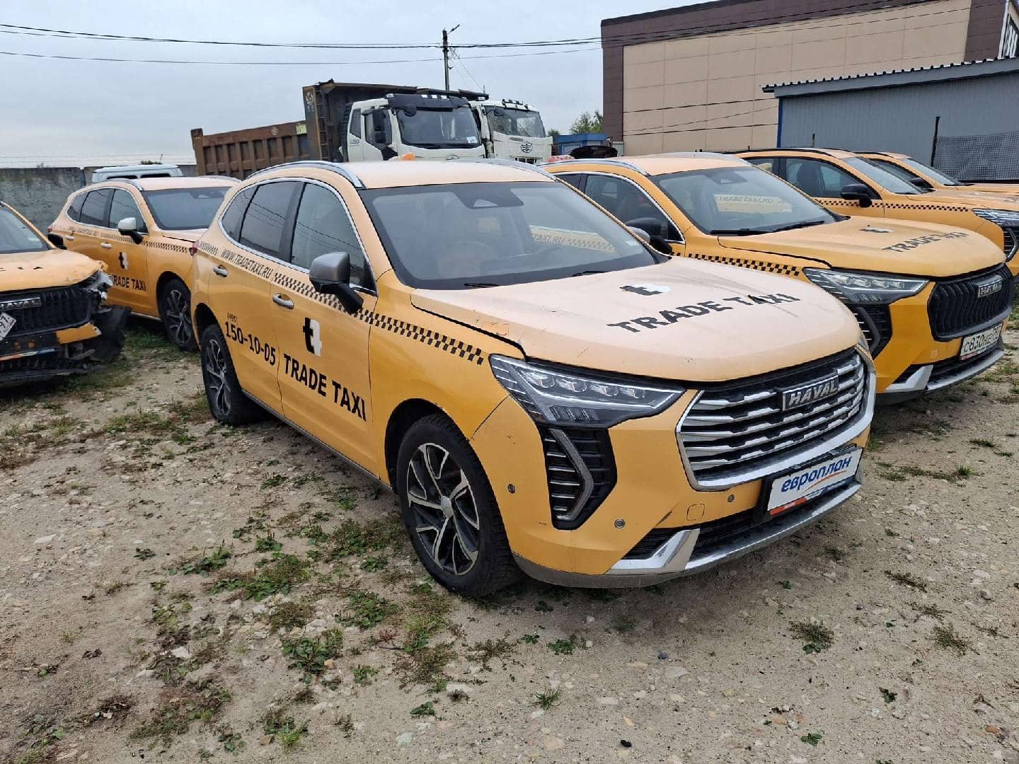 Haval Jolion