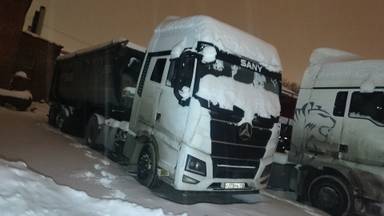 SANY 495AS