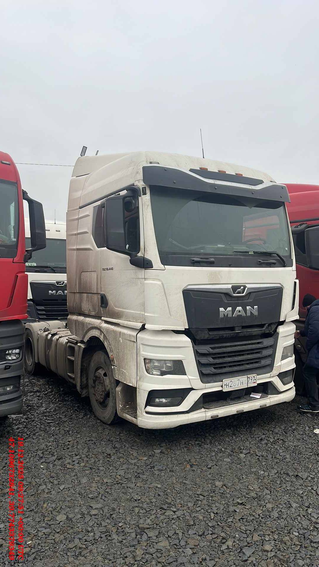 MAN TGX 18.440 4X2 BL SA (GM)