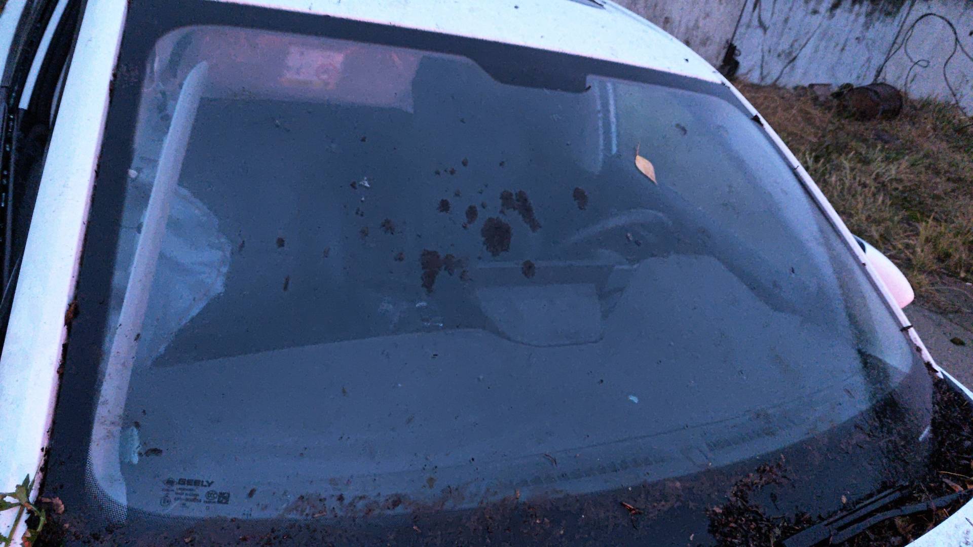 Geely Emgrand,  20 274 км, 2024 года в лизинг